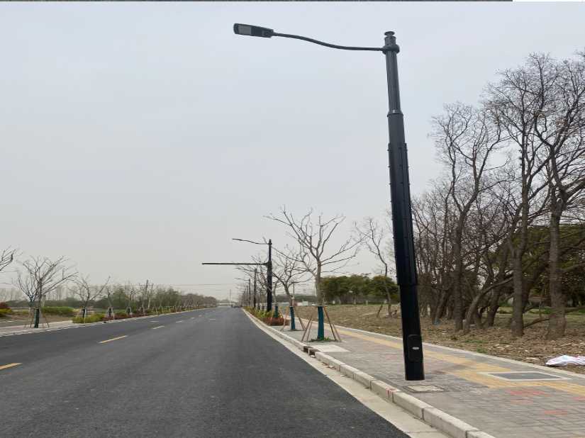 兴宾区上海综合杆 太阳能路灯工程
